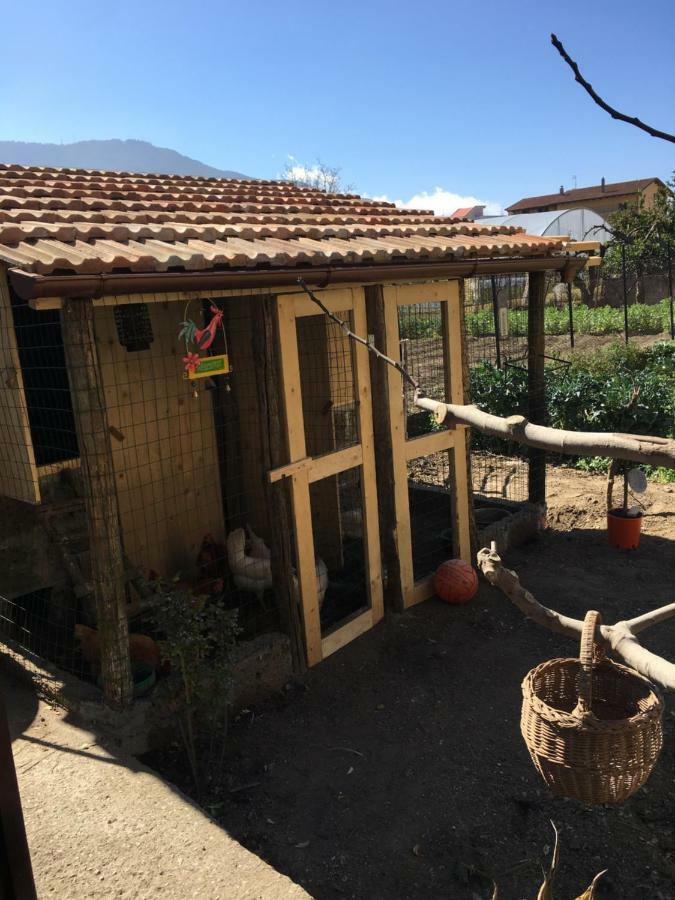 Buonocore Rooms Santa Maria La Carità Exterior foto